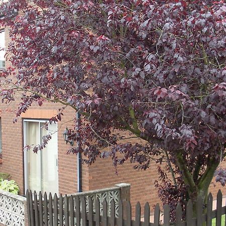 Bed and Breakfast Briardale Lazonby Экстерьер фото
